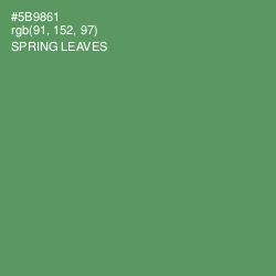 #5B9861 - Spring Leaves Color Image